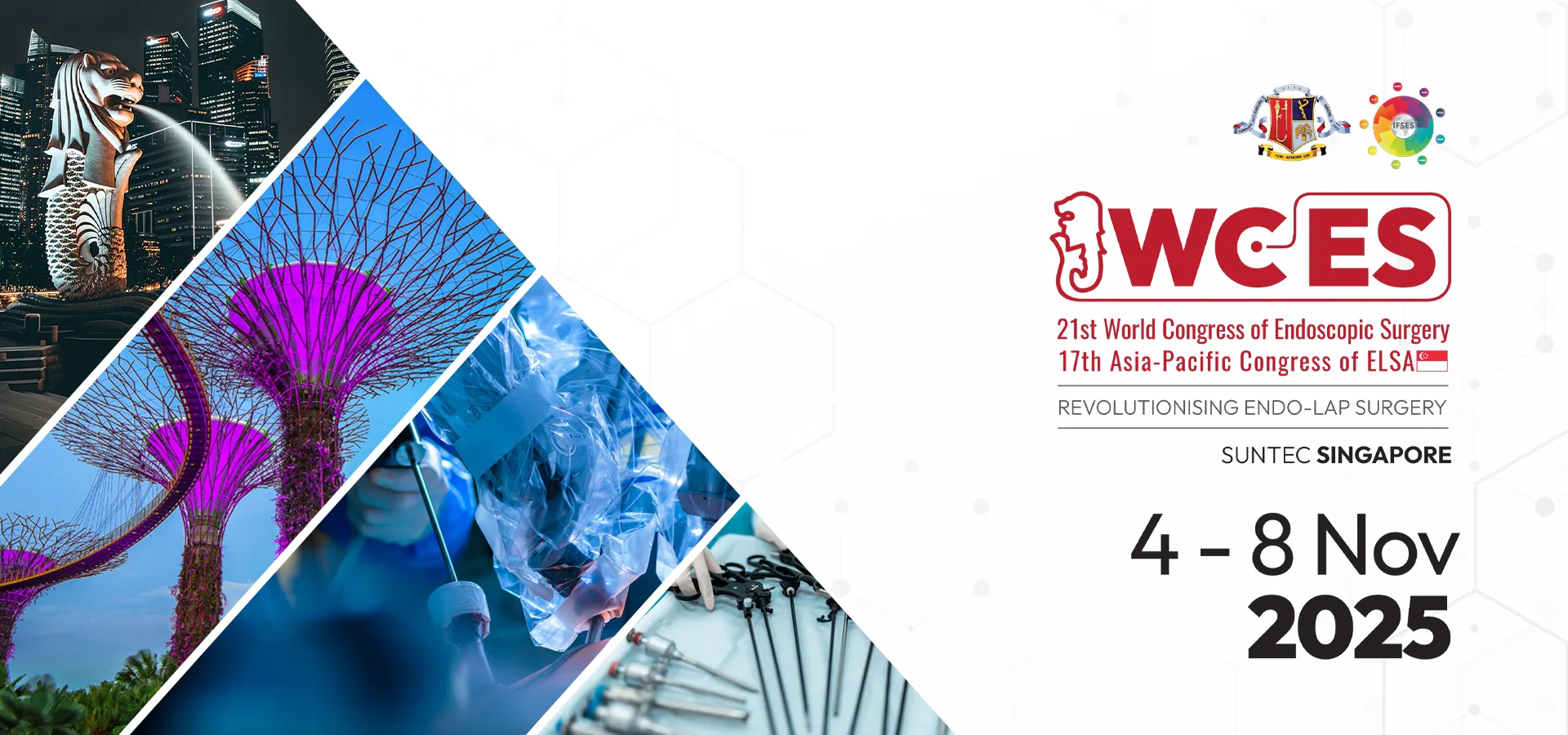 The 17th Asia-Pacific Congress of ELSA, 5-8 November 2025, Singapore